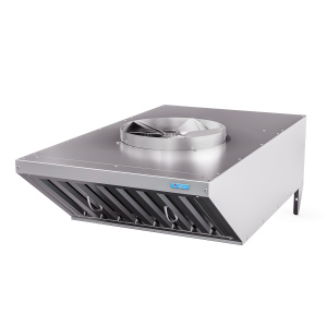 Зонт вентиляционный Abat ЗВВ-750